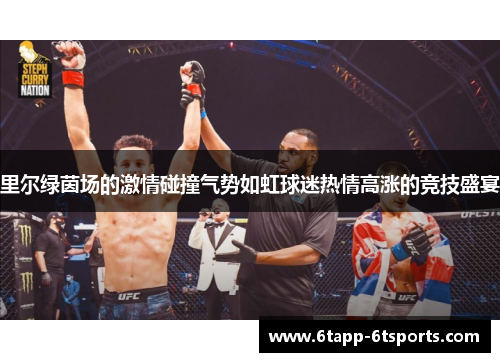 里尔绿茵场的激情碰撞气势如虹球迷热情高涨的竞技盛宴