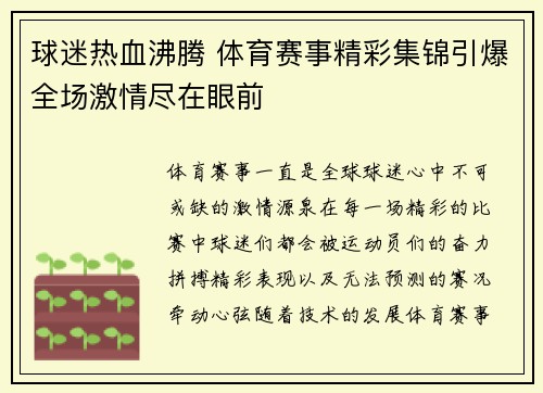 球迷热血沸腾 体育赛事精彩集锦引爆全场激情尽在眼前